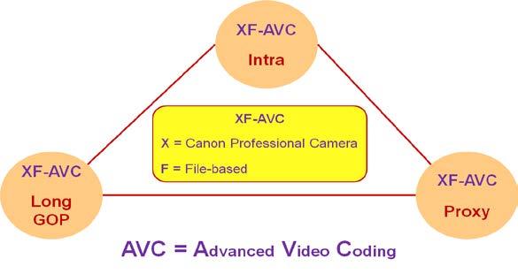 This would entail recording at: Far higher data rates than is possible with MPEG-2 Higher bit depths than the 8-bit of MPEG-2 4:4:4 component coding in addition to the 4:2:2 of MPEG-2 Higher picture