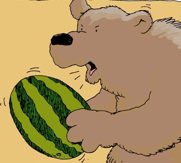 King Bear refused to believe he had subjects from a garden patch. He demanded that the melon pay respects to him if the animals spoke the truth.