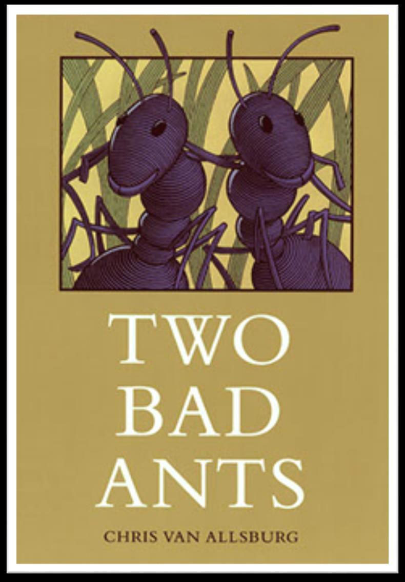 Where do his stories come from? The ideas for my books come to me in different ways. For instance, I once was standing in my kitchen one morning, and saw two ants on the counter top.