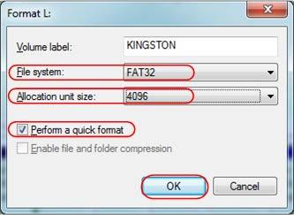 Set File System as FAT32, Allocation unit size 4096.