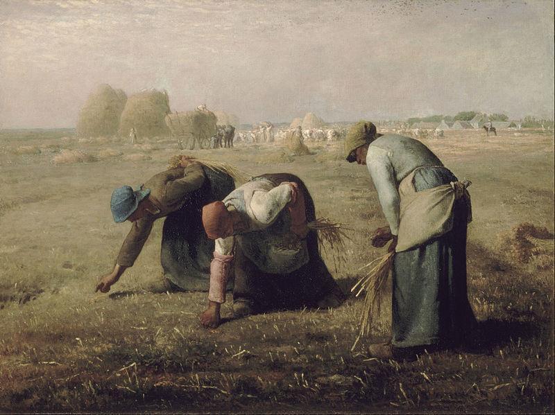 Workers performing strenuous work in a field