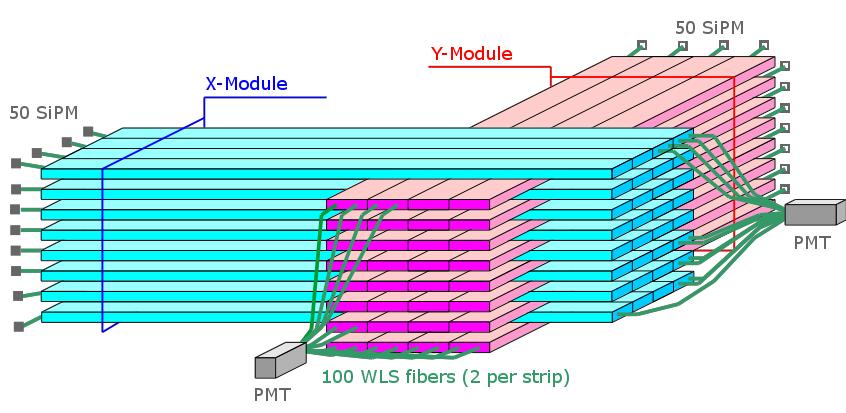 Each successive layer of the detector is built perpendicularly to the previous one. Ten parallel layers of 5 neighboring strips form one detector section (module - Figure 3).