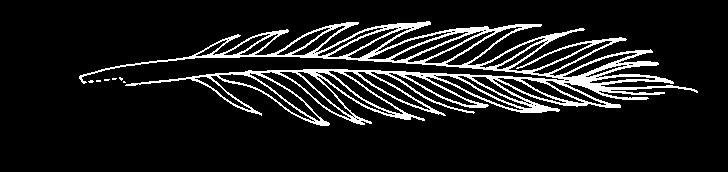 Just for Fun: Activity Sheet #2 Make a Quill Pen Directions: Follow the steps below to make a pen out of a feather. This kind of pen is called a quill pen. Another name for a feather is a quill.