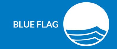 LOGO USAGE BLUE FLAG Illegitimate use of the logo Size MY COMPANY 25 mm ROTATION Do NOT rotate the logo at all. RATIO Do NOT alter the ratio of the logo.