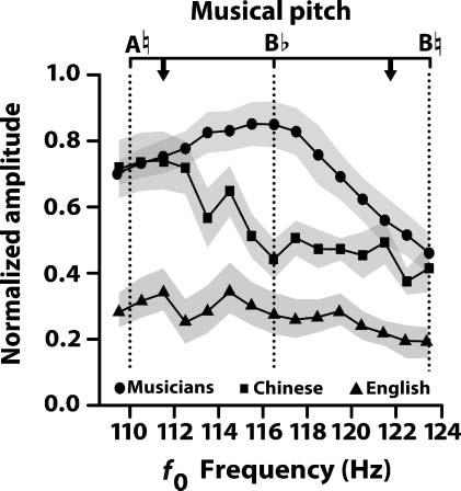 lexical tones or musical pitch intervals, these individualsʼ brainstems are tuned to extract dynamically changing interspike intervals that cue linguistically or musically relevant features of the