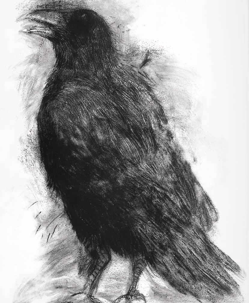 dark, moody painting of raven