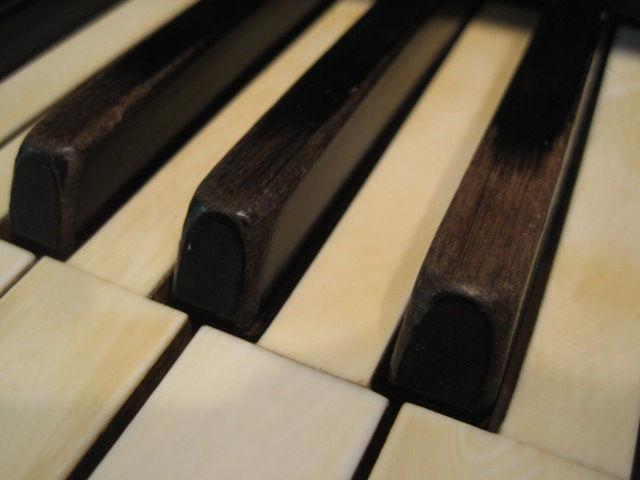 The Owner's Guide to Piano Repair Focus On: Worn Sharp Keys - Rejuvenation / Replacement Information provided courtesy of: