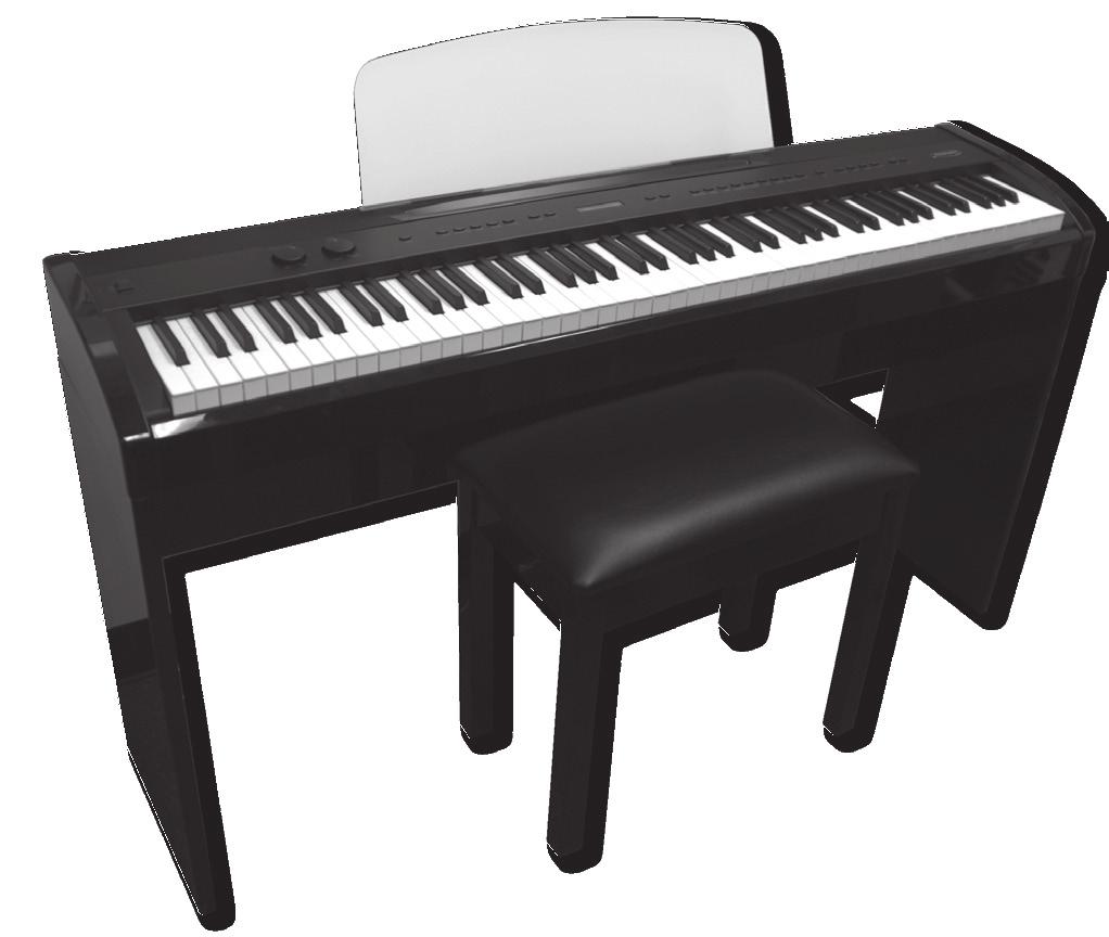 Welcome We would like to express our appreciation and congratulate you for purchasing this Suzuki digital piano. With proper care this piano will provide you with years of musical enjoyment.