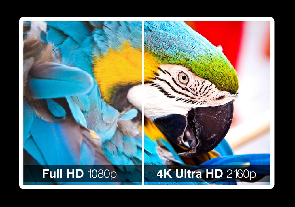Of course, that increased resolution comes with an added cost, not only for the screen itself but for content development, increased storage needs and higher bandwidth requirements.
