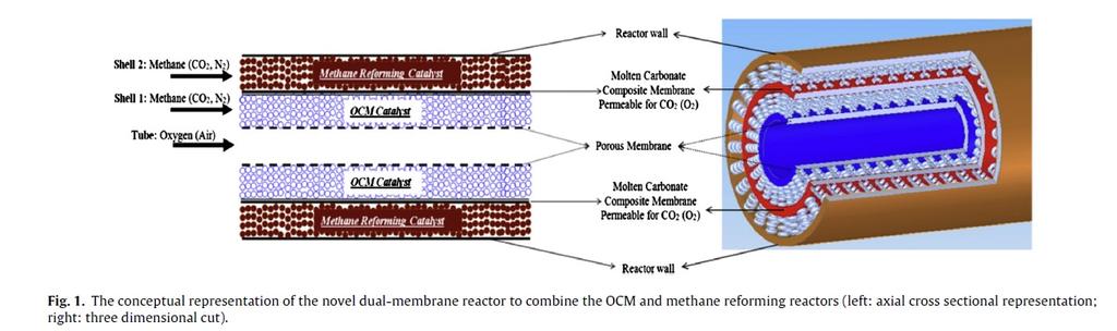 Proposed Dual Membrane for OCM/DMR H. R. Godini et al., Chem. Eng.
