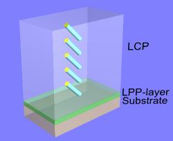 LCMO polymer layers (2) Molecular