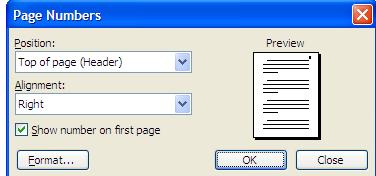 select Page Numbers.