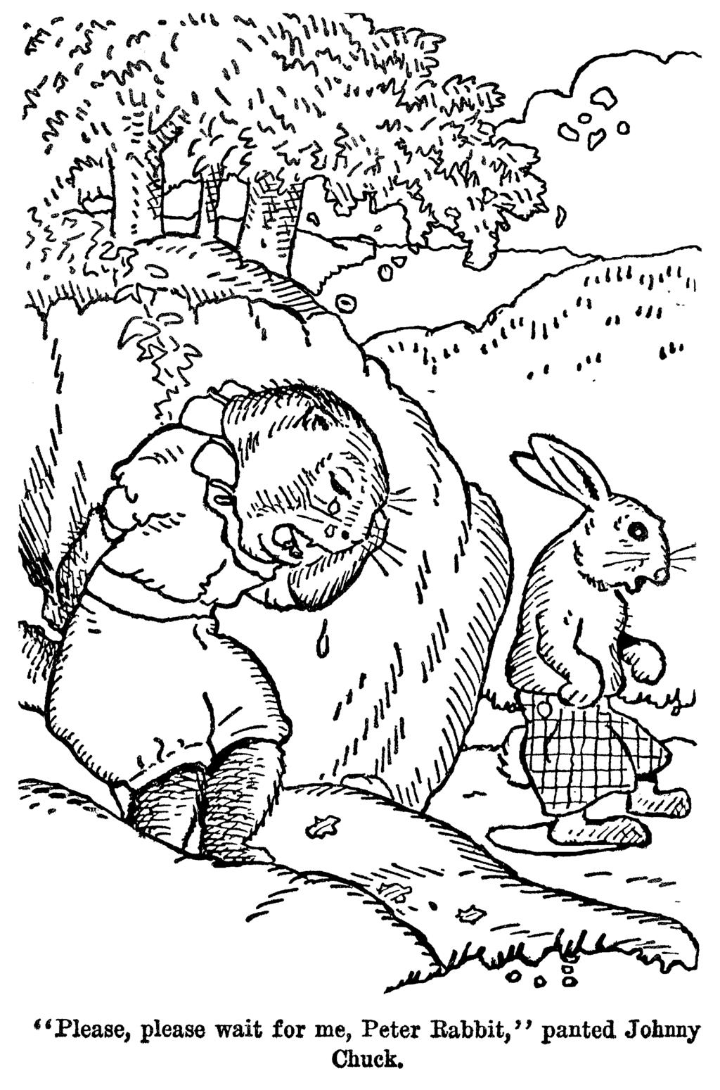 12 Mother West Wind/Peter Rabbit Free Downloadable Coloring Book Please, please wait for me Peter Rabbit,