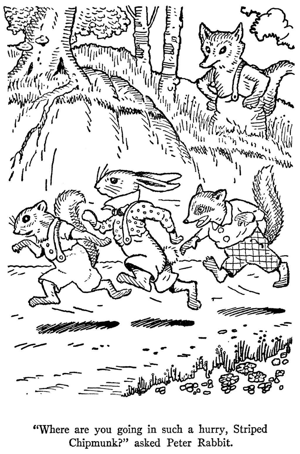 Mother West Wind/Peter Rabbit Free Downloadable Coloring Book 5 Where are you going in such a hurry, Striped