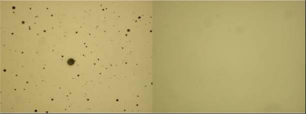 Fig.13. Microscope pictures of the identical regions (250x190 µm 2 ) of the sample coated without magnetic filter (on the left) and that produced with the active filter (on the right).