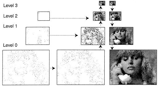Figure 1: Grayscae Susie image pyramid reconstruction. The input sampes are ocated in mutipe eves of the pyramid.