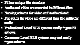audio Professional Level NLE systems easily ingest P2 schema Consumer Level NLE systems may not easily ingest