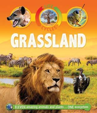 KINGFISHER JANUARY 2018 JUVENILE NONFICTION / ANIMALS / MAMMALS BY SEAN CALLERY Life Cycles: Grassland From grasshoppers and rattlesnakes to lions and coyotes: this ingenious yet simple series