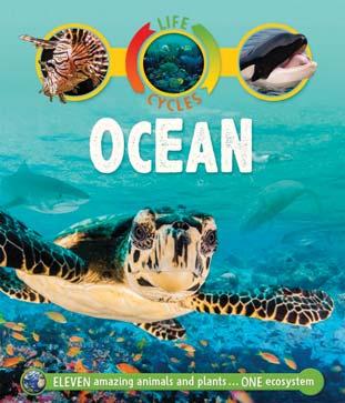 KINGFISHER JANUARY 2018 JUVENILE NONFICTION / ANIMALS / MARINE LIFE BY SEAN CALLERY Life Cycles: Ocean From coral and jellyfish to tiger sharks and sea turtles: this ingenious yet simple series
