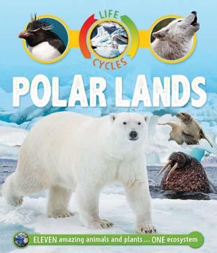 KINGFISHER JANUARY 2018 JUVENILE NONFICTION / SCIENCE & NATURE / ENVIRONMENTAL SCIENCE & ECOSYSTEMS BY SEAN CALLERY Life Cycles: Polar Lands From seals and penguins to Arctic foxes and polar bears: