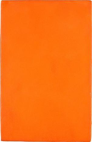 In 1955 begin Klein sy benadering tot vereenvoudiging, waar hy uitbeelding in die kunswerk reduseer tot n enkele kleur, toepas op groot, monochromatiese doeke wat hy in helder pienk, oranje, blou en