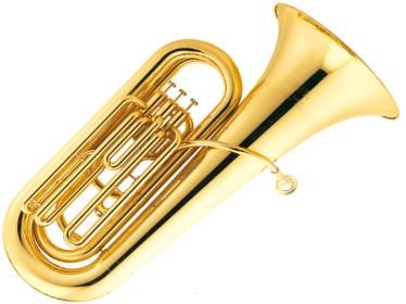 French Horn Trombone Euphonium Tuba Percussion Can I be