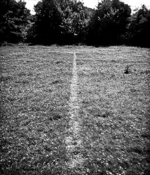 Richard Long s A line made by walking is an example of this. Long used a grassy field as the canvas and his actions as the medium, to create a visible effect on the earth.