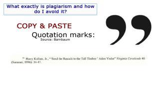 and reference the source. (Graphic: Image of quotation marks) Slide 17 - highlighted This is an example of cut and paste plagiarism.