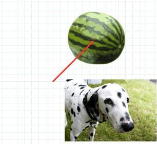 To output a dog image, try using the wear block: wear 'dog' The wear command outputs an image by changing the appearance of the turtle to an image from the internet The wear command changes the