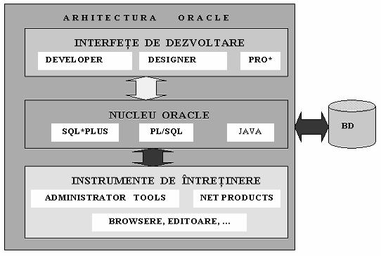 sau rescrierea aplicaţiei. Posibilitatea apariţiei unei erori la o configuraţie cu 12 calculatoare sub Oracle 9i RAC este foarte mică, esimată ca durată în timp la cca 100.000 de ani.