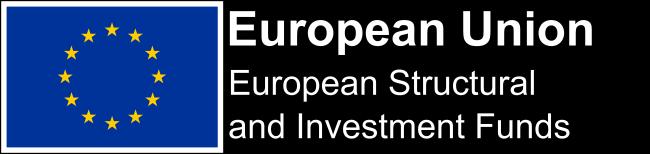 Reference to the specific ESIF funding stream European Regional Development Fund, European Social Fund and for where more than one fund is covered - European Structural and Investment Funds. 3.