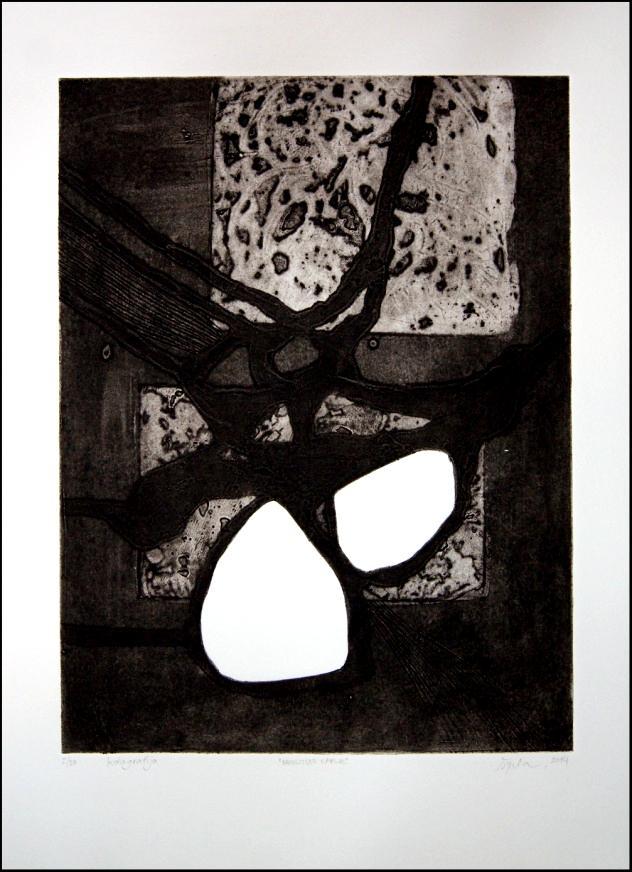 Slika 20: Špela Cigoj, Neolitske kaplje, 2014, kolagrafija, 30x40 Kolagrafija, globoki tisk.