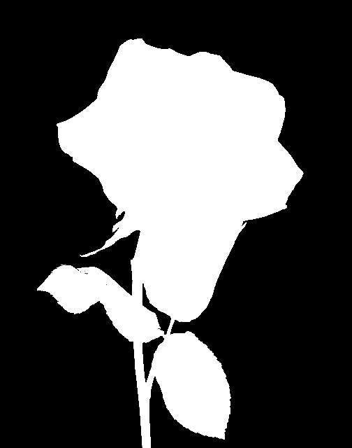 signifier the red rose And the signified what