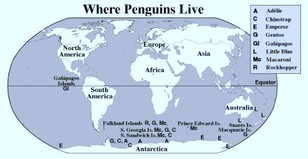 When you write a report, you use information from more than one source. Here is another article about penguins. The first time you read it, look for the author s main idea about penguins.