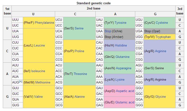 A DERRADEIRA ADIVIÑA DE SHANNON 32 Figura 20: Táboa co código xenético. Fonte: Wikipedia.