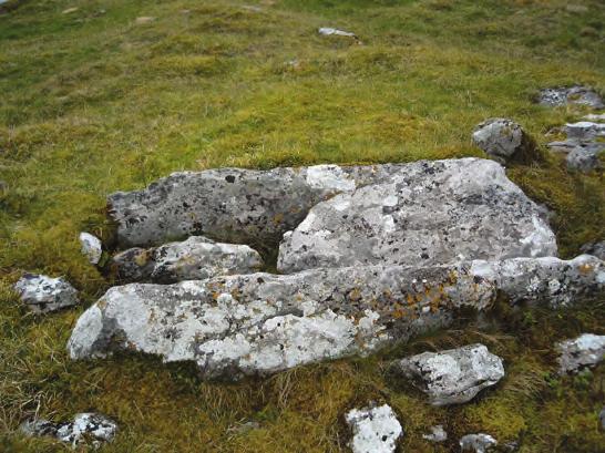Ireland s Largest Cluster of Wedge Tombs - a matter of opinion or fact?