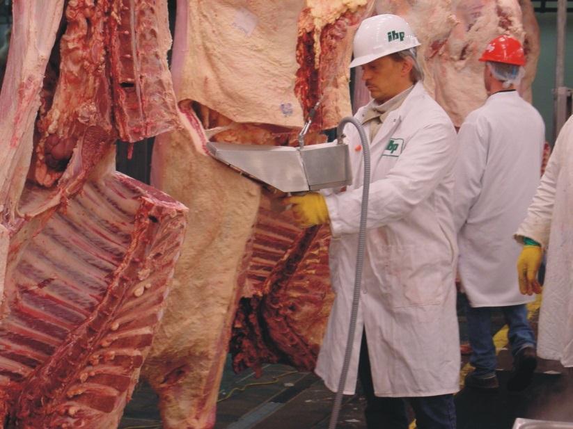 of rib eye surface from both carcass sides - speed up to 450 carcasses/900 sides per hour - linked to hot scale or IT system to get the hot carcass weight