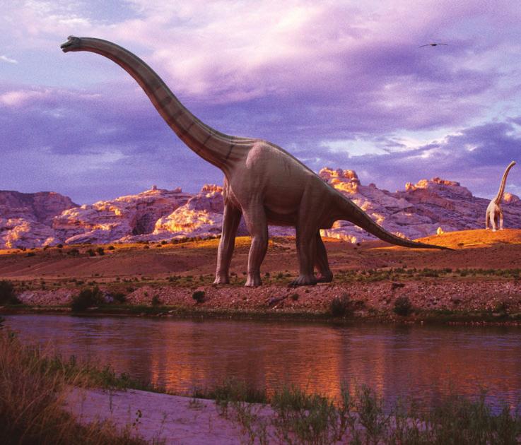 Dinosaurs Were Big and Small Many people think all dinosaurs were