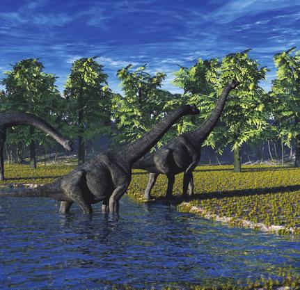 Pictures Facts Brachiosaurus had a very long neck. Its neck was thirty feet long!