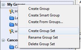 My Groups / Create Group Set (2) Name Group Set (3) Fill