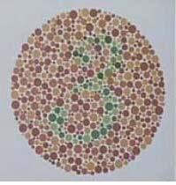 This is an Ishihara plate commonly used to check for red/green color