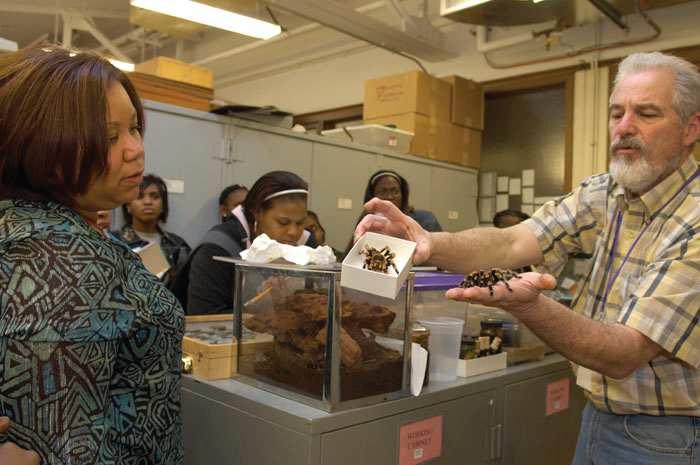 Behind the Scenes Tours Did you know that The Field Museum houses nearly 26 million specimens and artifacts? Less than 1% of those are on display to the public!