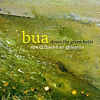 Discography: Down the Green Fields An Spealadóir Live At Martyrs 2011 2009 2006 For any fans of traditional Irish music, Bua s Down the Green Fields is not only the