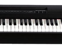 ivory keytops 24 voices 10 rhythms Pure CF Sound Engine 256-note