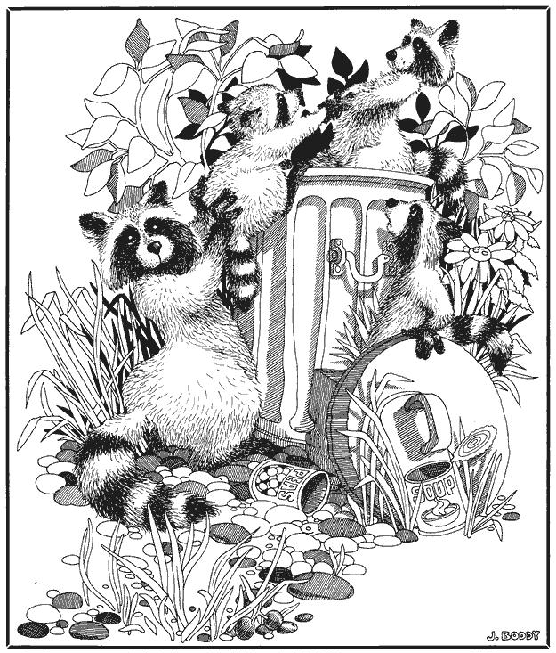 Hidden Picture Racoons In this big picture find the mug, cherries,