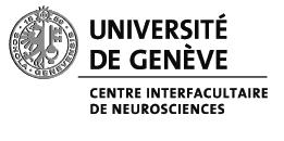 HOW TO WRITE A MASTER THESIS IN NEUROSCIENCE FEW TIPS AND