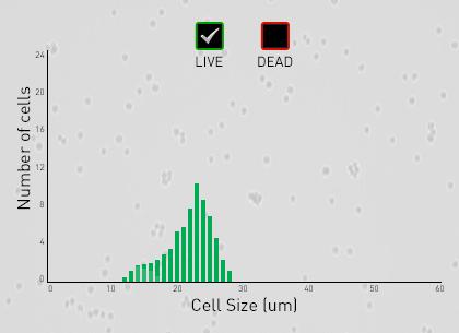 Graph Overview Graph for cell count and cell viability assays The Countess II and Countess II FL Automated Cell Counters allow you to view the distribution of cells counted through each channel in a
