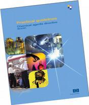 Metode de evalaure Inspectia Muncii Comisia Europeană a elaborat în sprijinul statelor membre ghiduri cu caracter neobligatoriu pentru implementarea diferitelor directive speficie domeniului SSM,