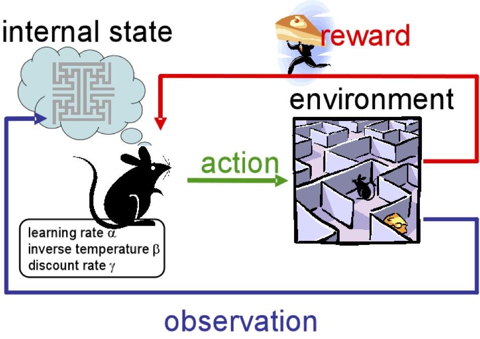 Figure 25: Reinforcement learning (Conceptual model) Reproduced from [DU05] 9.