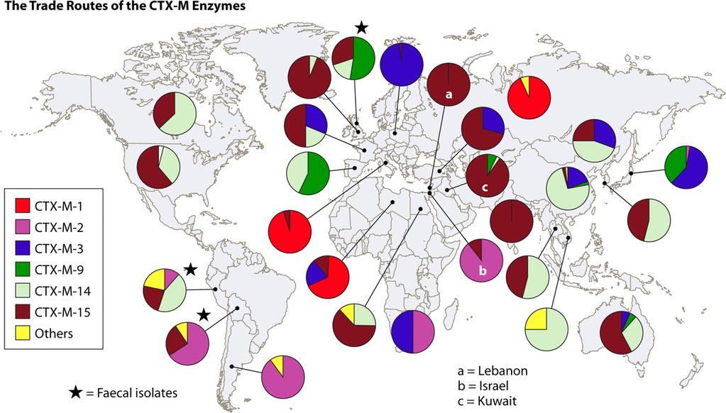 Worldwide distribution of different classes of CTX-M β-lactamases (first
